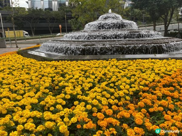 ## 灣仔隱世綠洲 🌿 菲林明道花園 🤫