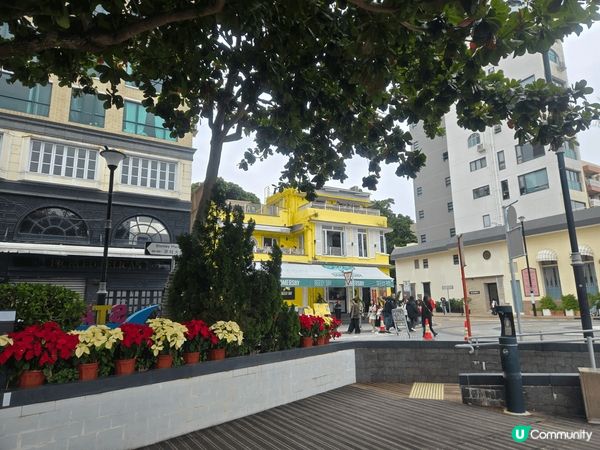 聖誕影影影，MOKO, MIRA, STANLEY,  都非...