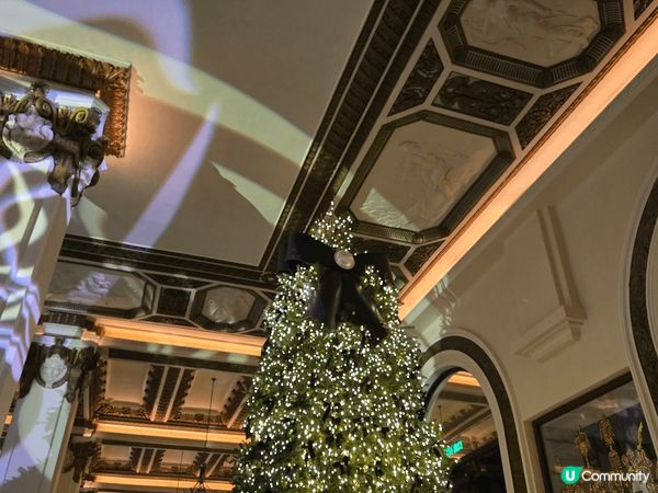 Tst維港游睇盡海旁聖誕燈飾唔洗行之旅，仲睇到AIA添啊!