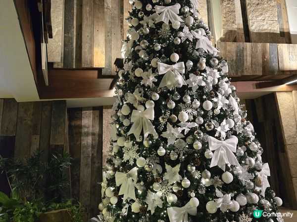 Tst維港游睇盡海旁聖誕燈飾唔洗行之旅，仲睇到AIA添啊!