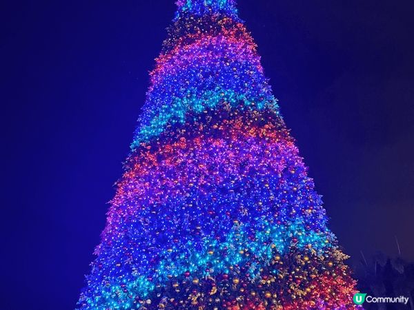 西九龍公園聖誕燈飾