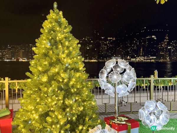 西九龍公園聖誕燈飾