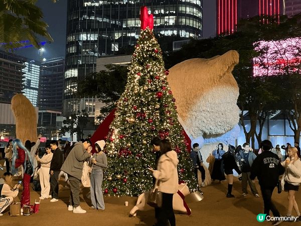 深圳,比卡超打卡,商業中心聖誕 裝飾