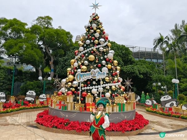 聖誕節到香港海洋公園感受節日氣氛及看看新來港的一對大熊貓及我...