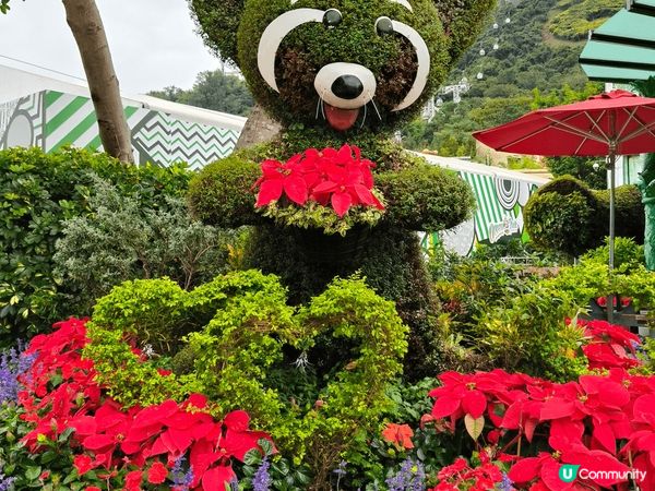 聖誕節到香港海洋公園感受節日氣氛及看看新來港的一對大熊貓及我...
