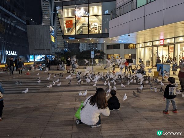 深圳中航城君購物中心，有人造泡泡雪，仲有鴿子廣場，有一百多隻...