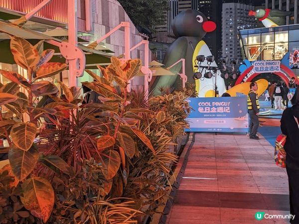 深圳中航城君購物中心，有人造泡泡雪，仲有鴿子廣場，有一百多隻...