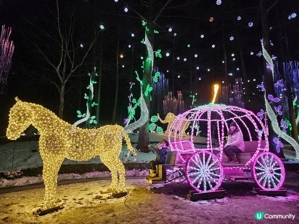 晨靜樹木園冬天的五彩星光庭園真的得美，超多打卡位。所以燈飾造...