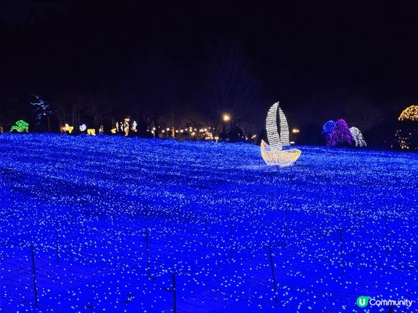 晨靜樹木園冬天的五彩星光庭園真的得美，超多打卡位。所以燈飾造...