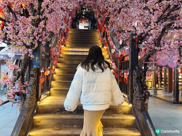 成都熊貓基地有好多熊貓bb仔，睇住bb仔搞住熊媽媽瞓覺好可愛...