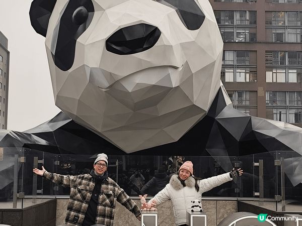 成都熊貓基地有好多熊貓bb仔，睇住bb仔搞住熊媽媽瞓覺好可愛...