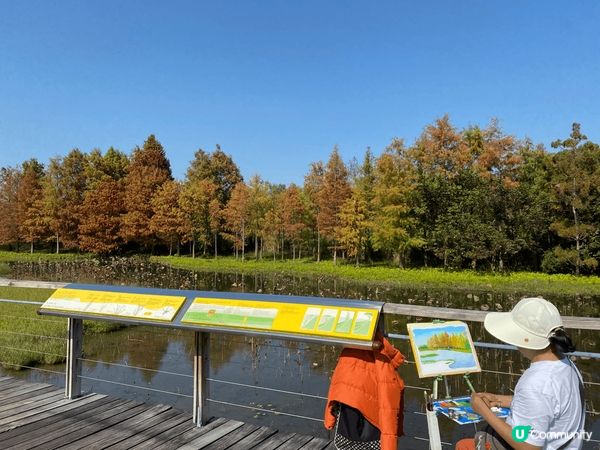濕地公園以自然生態為背景，獨特的濕地景觀與寧靜氛圍，讓聖誕打...