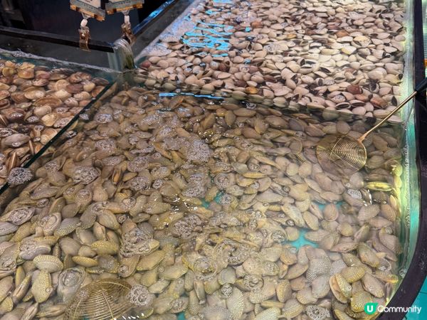 今期必食：即撈即打海鮮火鍋放題