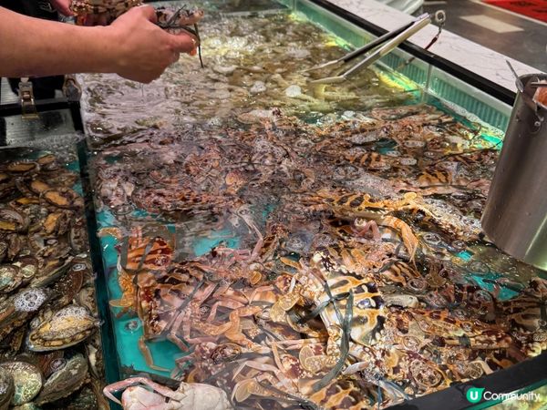 今期必食：即撈即打海鮮火鍋放題