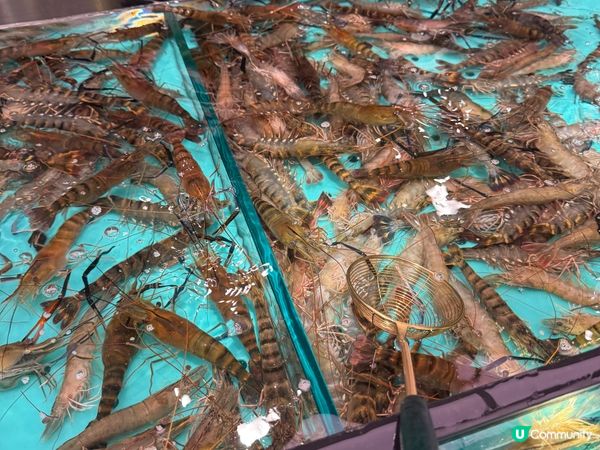 今期必食：即撈即打海鮮火鍋放題