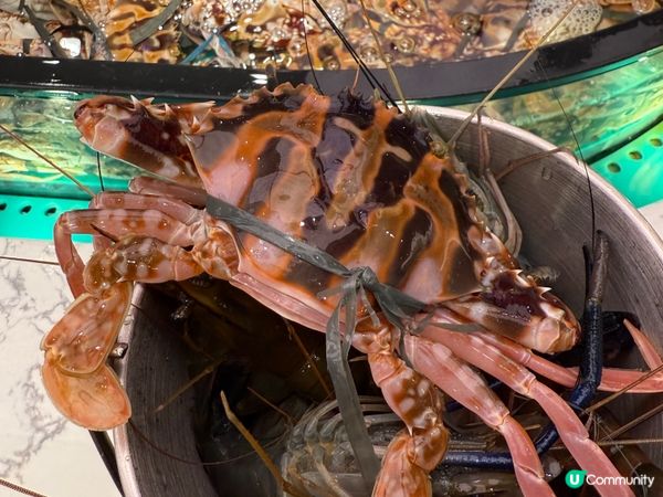 今期必食：即撈即打海鮮火鍋放題