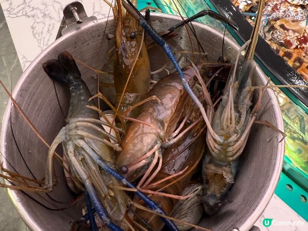 今期必食：即撈即打海鮮火鍋放題