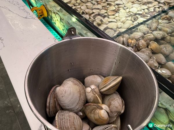 今期必食：即撈即打海鮮火鍋放題
