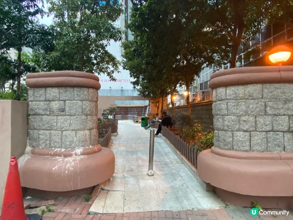 ## 彌敦道界限街，鬧市綠洲 🌳💦