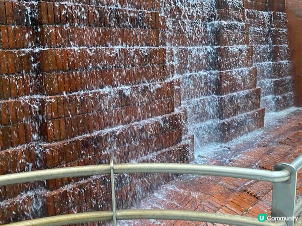 ## 彌敦道界限街，鬧市綠洲 🌳💦