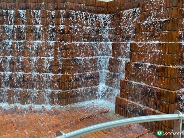 ## 彌敦道界限街，鬧市綠洲 🌳💦