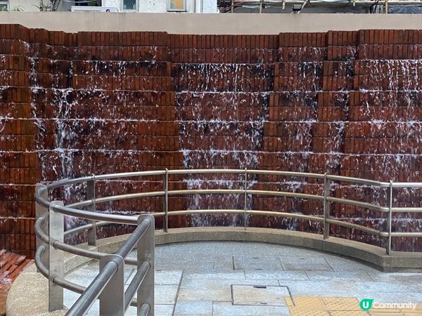 ## 彌敦道界限街，鬧市綠洲 🌳💦