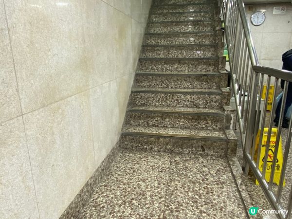 🎼 尋寶之旅！凱聲琴行，音樂夢開始！