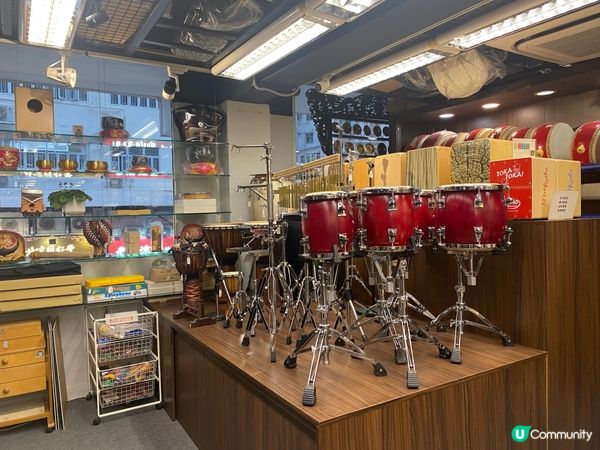 🎼 尋寶之旅！凱聲琴行，音樂夢開始！