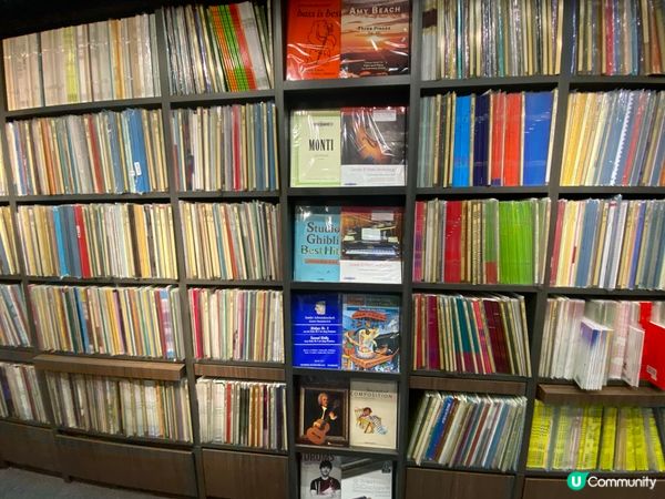 🎼 尋寶之旅！凱聲琴行，音樂夢開始！