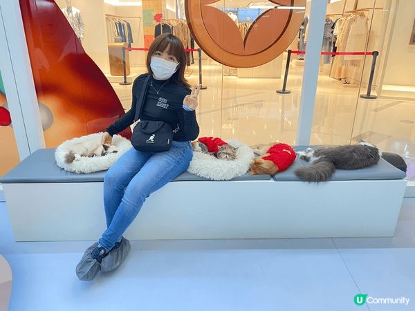 深圳 萬象前海 超能貓空間