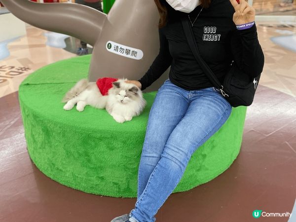 深圳 萬象前海 超能貓空間