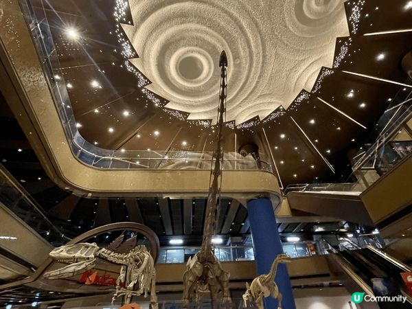 唔打唔撞之下,被我發現這個暫停開放的恐龍🦕時代展覽,邊行邊看...