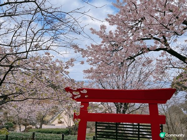 日本東京近郊， 富士山之行十分美滿，除了三日近距離欣賞到富士...
