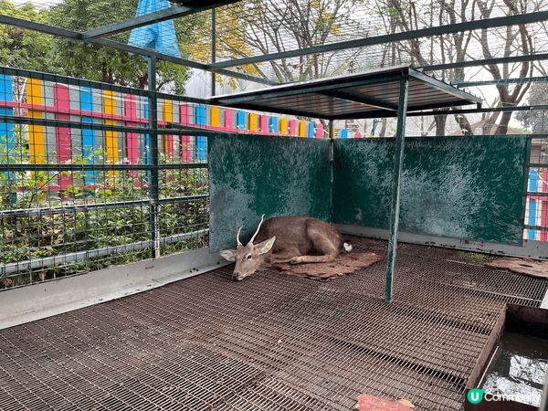 其實我係想叫大家唔好去