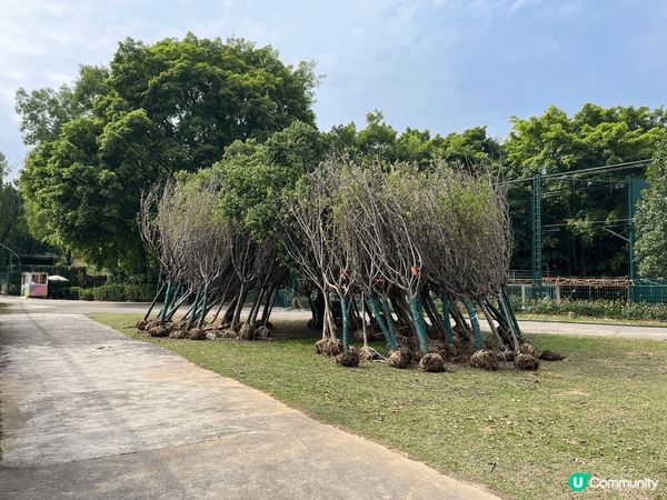 其實我係想叫大家唔好去