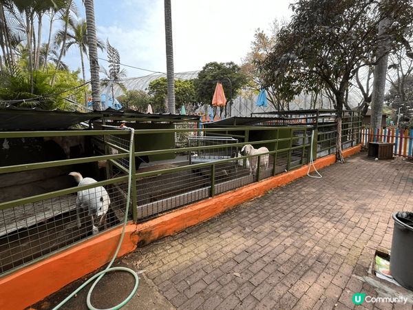 其實我係想叫大家唔好去