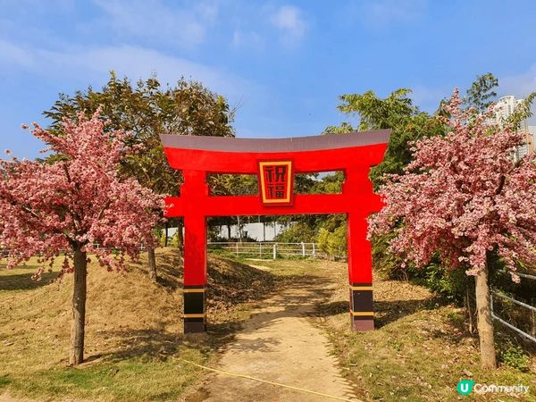 #童話世界農莊#大埔#老少咸宜#有花草樹木#有動物#有打卡仿...