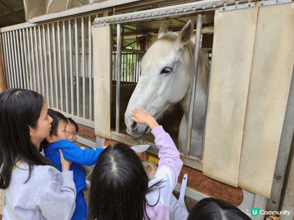#童話世界農莊#大埔#老少咸宜#有花草樹木#有動物#有打卡仿...