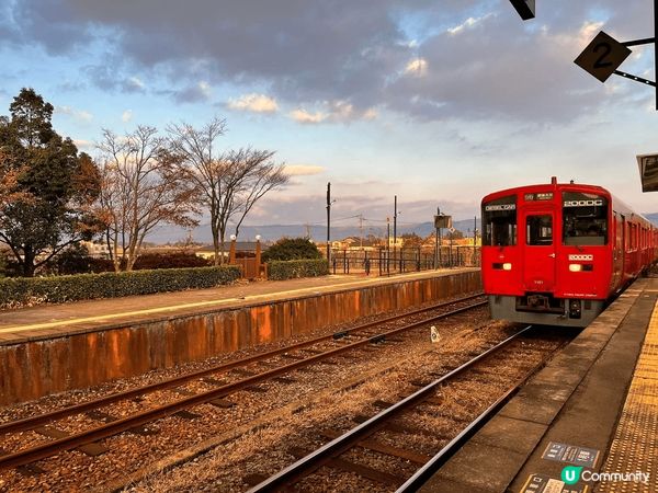 睇完阿蘇火山去到草千里，見還有點時間就落一落車。草千里有阿蘇...