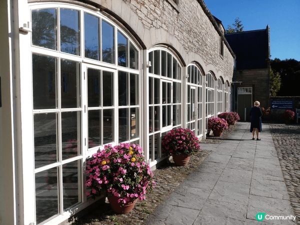 去了歐洲之旅，這是愛爾蘭，風景很美，也可看到不一樣的景色，值...