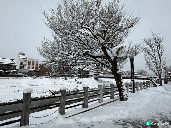 今次去咗名古屋五日，其中重點去白川鄉，巧遇大雪，周圍都係白濛...