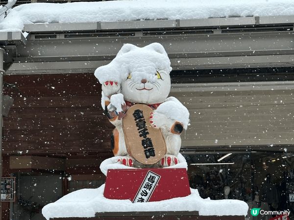 今次去咗名古屋五日，其中重點去白川鄉，巧遇大雪，周圍都係白濛...