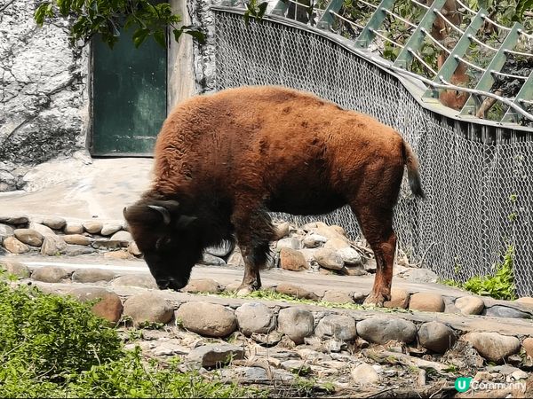 2️⃣0️⃣2️⃣5️⃣慢遊台灣高雄四日三夜之旅