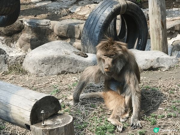 2️⃣0️⃣2️⃣5️⃣慢遊台灣高雄四日三夜之旅