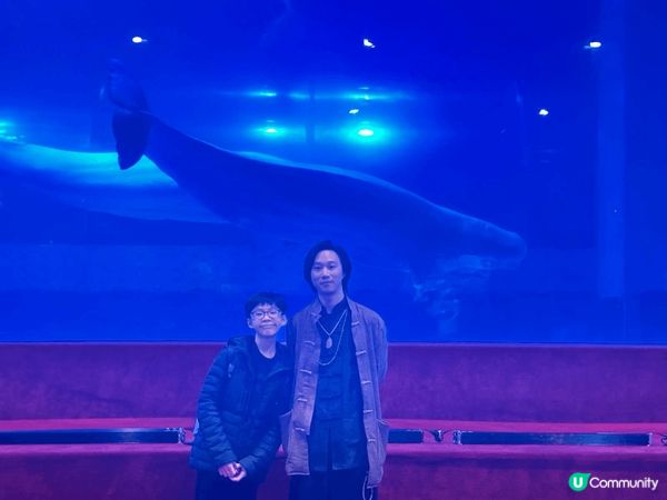 春季比較多雨朝濕 最緊要就最好留喺室內睇下海洋館欣賞下唔同既...