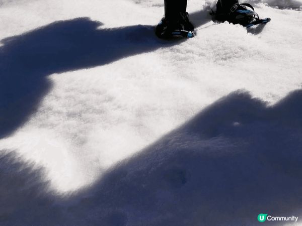 新潟美人林～ 冬日雪美人