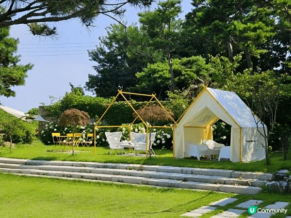 江華島Amoene Cafe以傾斜建築設計而聞名，吸引無數人...