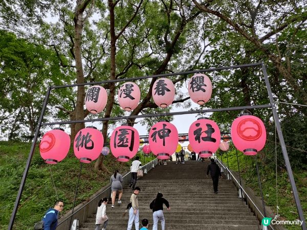 日本神社大家應該去得多，但台灣嘅神社應該比較少人去過。依個係...