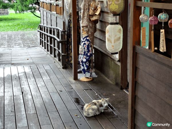 日本神社大家應該去得多，但台灣嘅神社應該比較少人去過。依個係...