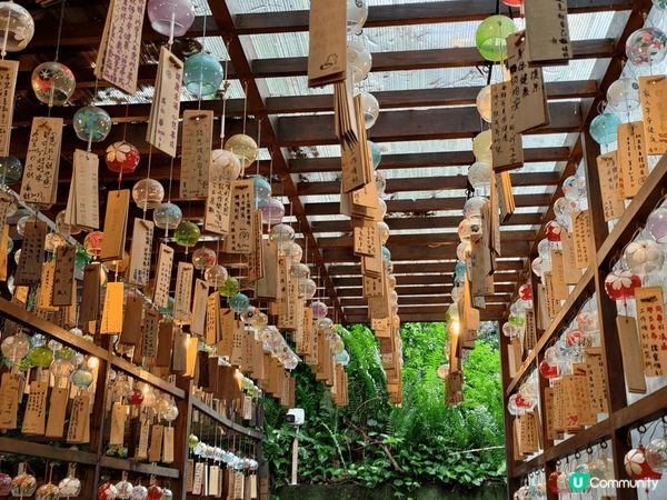日本神社大家應該去得多，但台灣嘅神社應該比較少人去過。依個係...